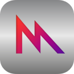 {label} Framework Icon